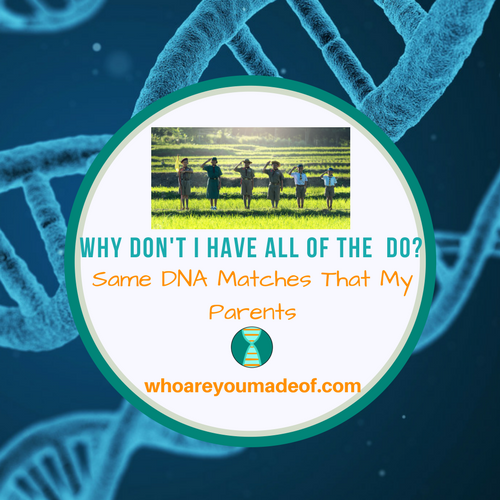 Why Don't I Have All Of The Same DNA Matches That My Parents Do? - Who ...