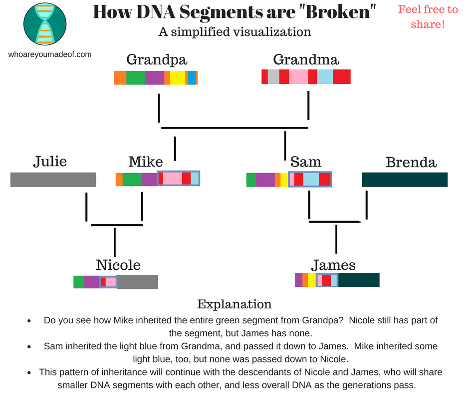 How much total dna 2025 cm do i have