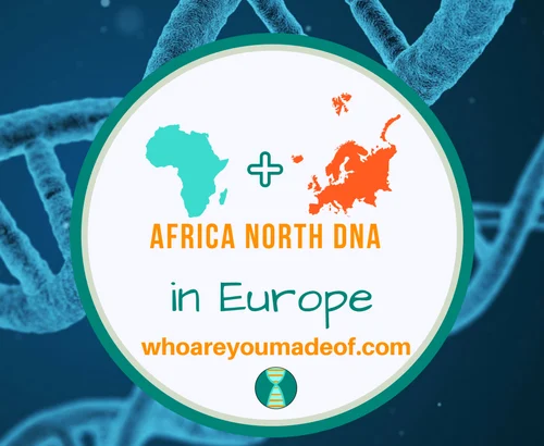 Africa North DNA in Europe