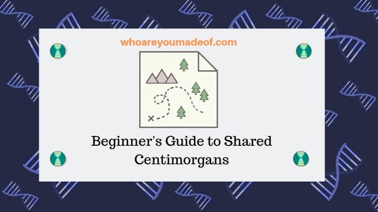 Beginner's Guide To Shared Centimorgans - Who Are You Made Of?