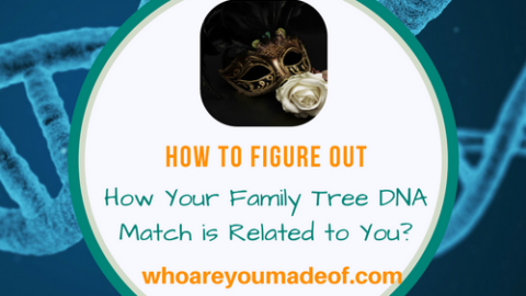 Example Of Family Tree DNA Family Finder Results - Who Are You Made Of?