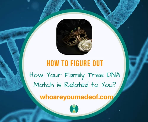 How to Figure Out How Your Family Tree DNA Match is Related to You_