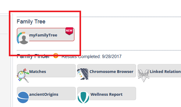 Where to access the family tree on FTDNA