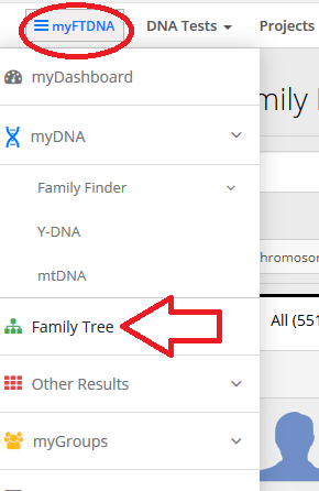Alternative method to accessing family tree on Family Tree DNA