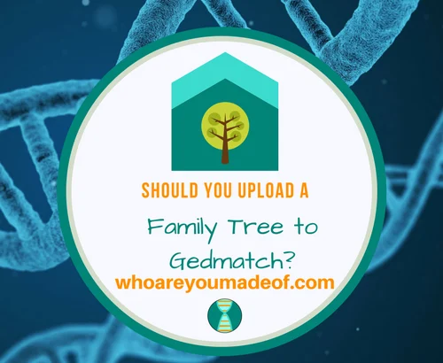 Should You Upload a Family Tree to Gedmatch_