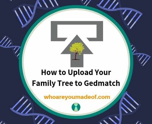 How to Upload Your Family Tree to Gedmatch