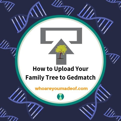 How to Upload Your Family Tree to Gedmatch