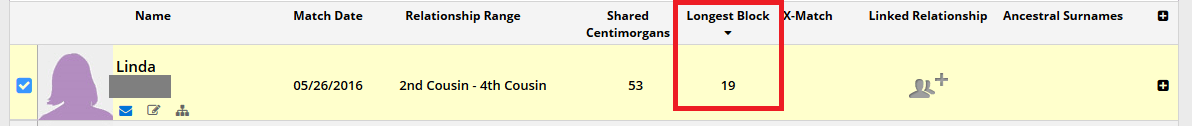 Correcting for endogamy in DNA matches