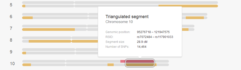 How to view the triangulated segment location on My Heritage DNA