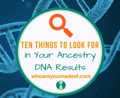 Ten Things to Look for in Your Ancestry DNA Results