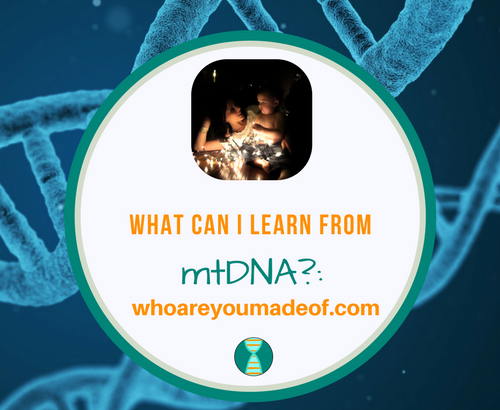 What Can I Learn From mtDNA_