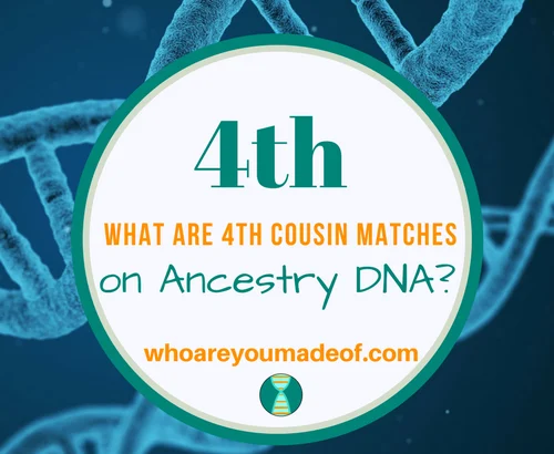 What are 4th Cousin Matches on Ancestry DNA_