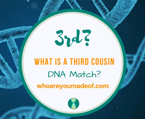 What is a Third Cousin DNA Match_