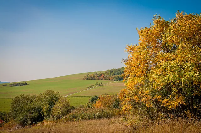 Myjava, Slovakia