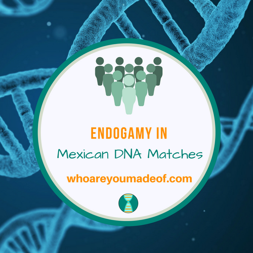 Endogamy in Mexican DNA Matches