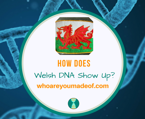 How Does Welsh DNA Show Up_