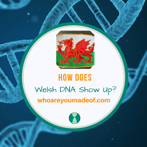 How Does Welsh DNA Show Up_
