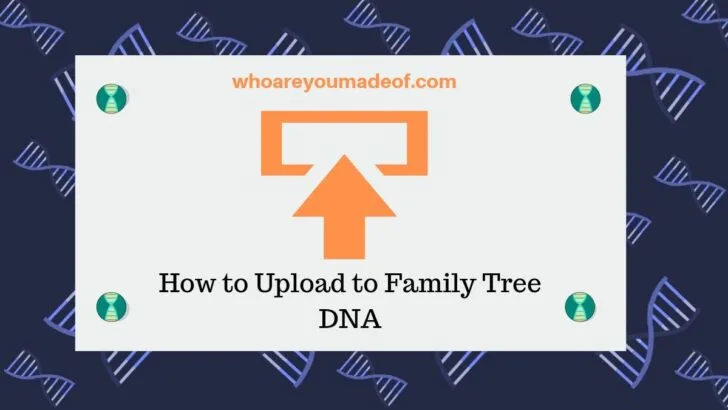 How to Upload to Family Tree DNA