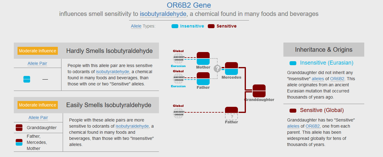 OR6B2 Gene in Grandchild Report on Gene Heritage