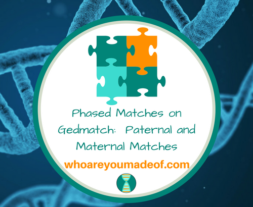 Phased Matches on Gedmatch_ Paternal and Maternal Matches