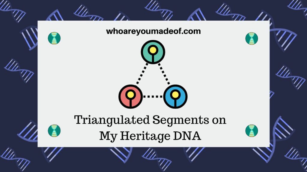 Triangulated Segments on My Heritage DNA