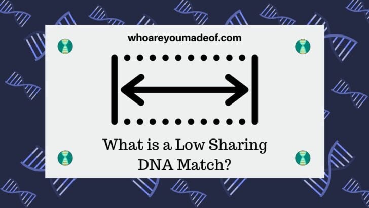 What is a Low Sharing DNA Match