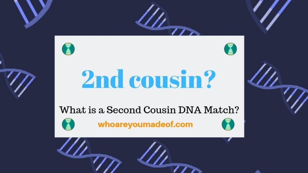 What is a Second Cousin DNA Match? - Who are You Made Of?