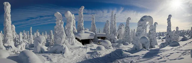 What does it look like in Finland?