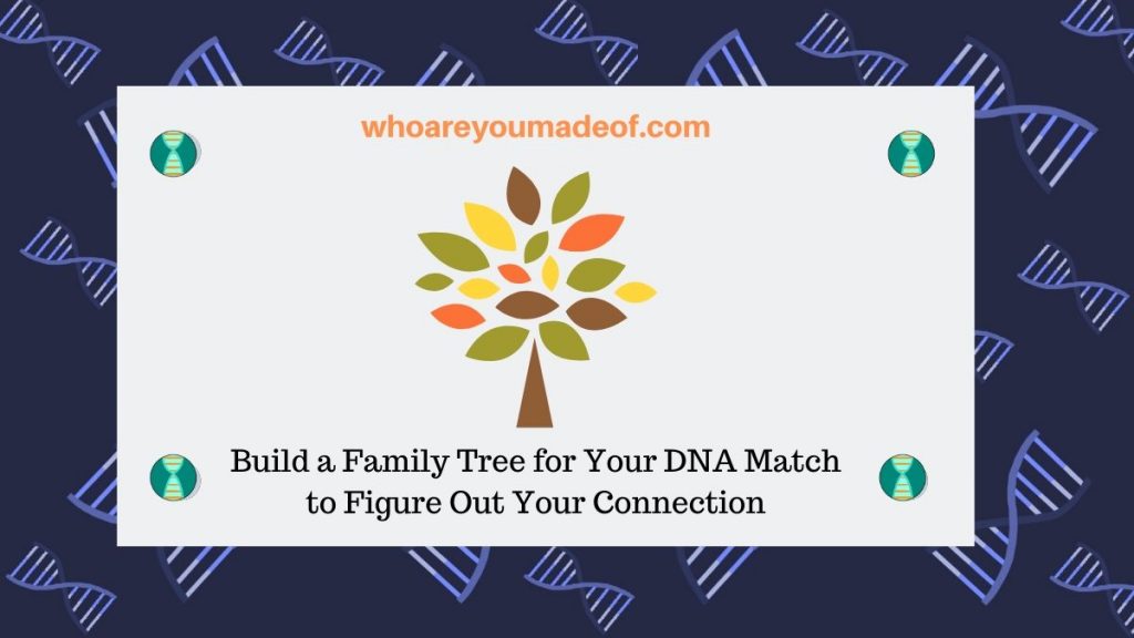 Build a Family Tree for Your DNA Match to Figure Out Your Connection