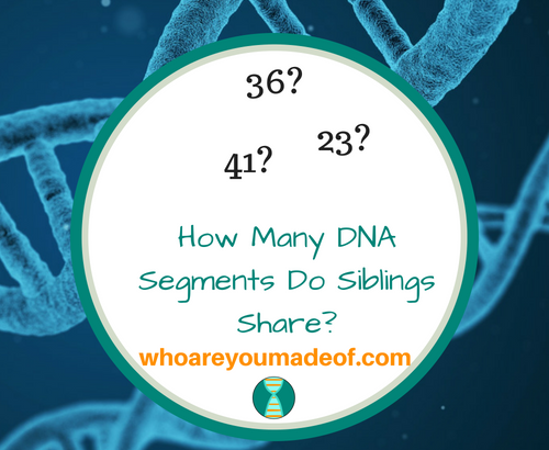 How Many DNA Segments Do Siblings Share?