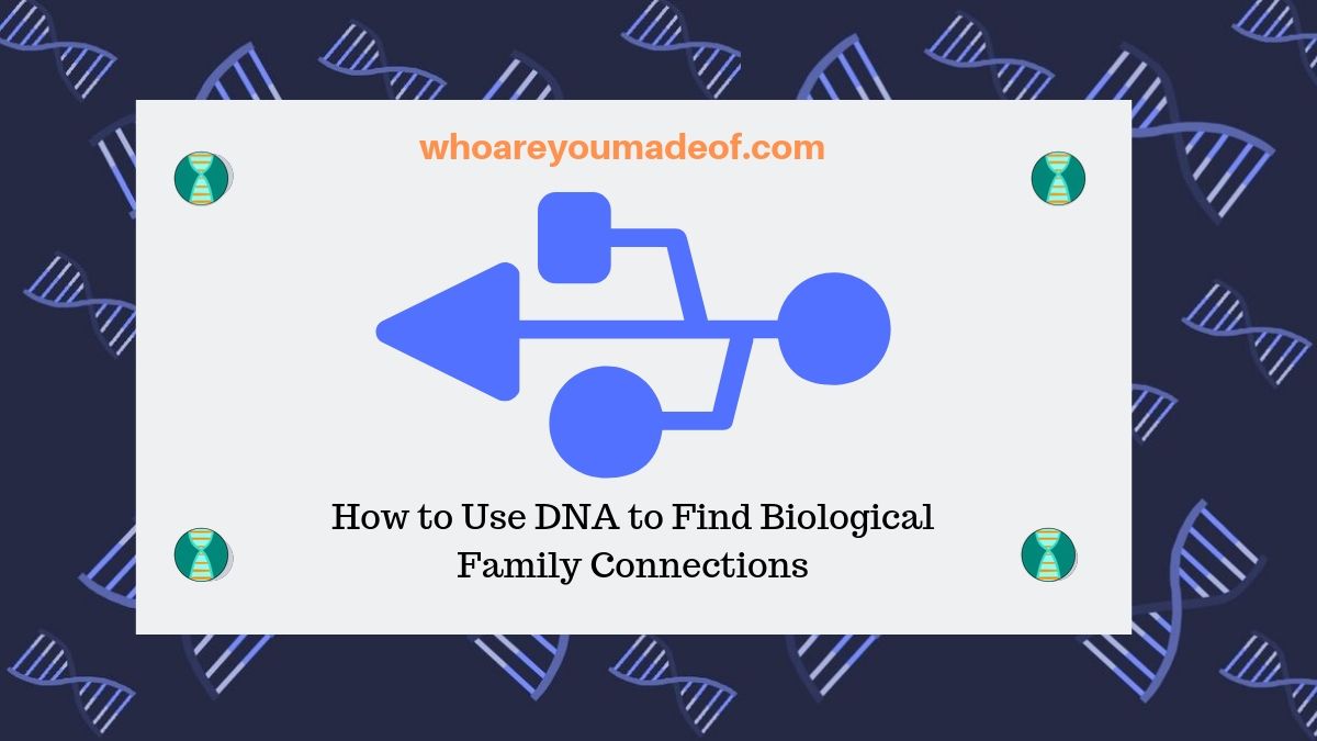 How to Use DNA to Find Biological Family Connections - Who are You Made Of?