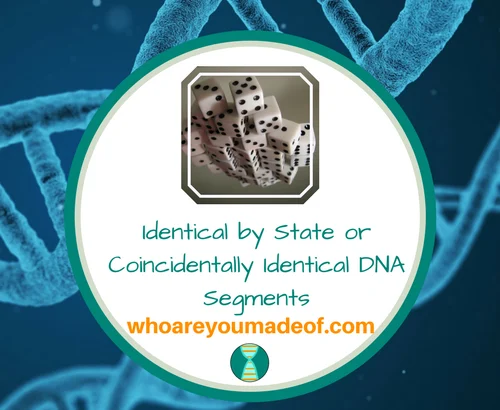Identical by State or Coincidentally Identical DNA Segments(1)