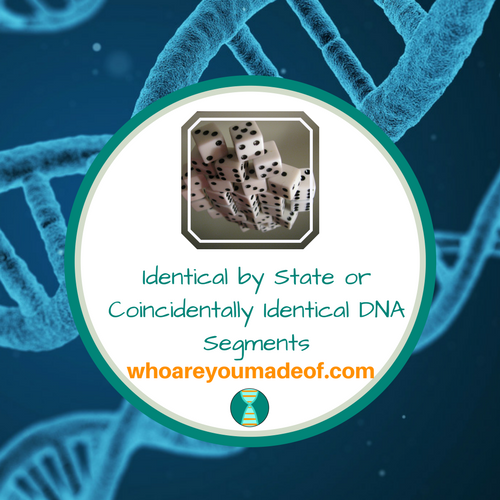 Identical by State or Coincidentally Identical DNA Segments(1)