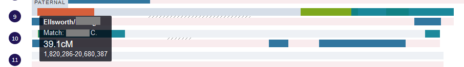 Example of how DNA Painter works