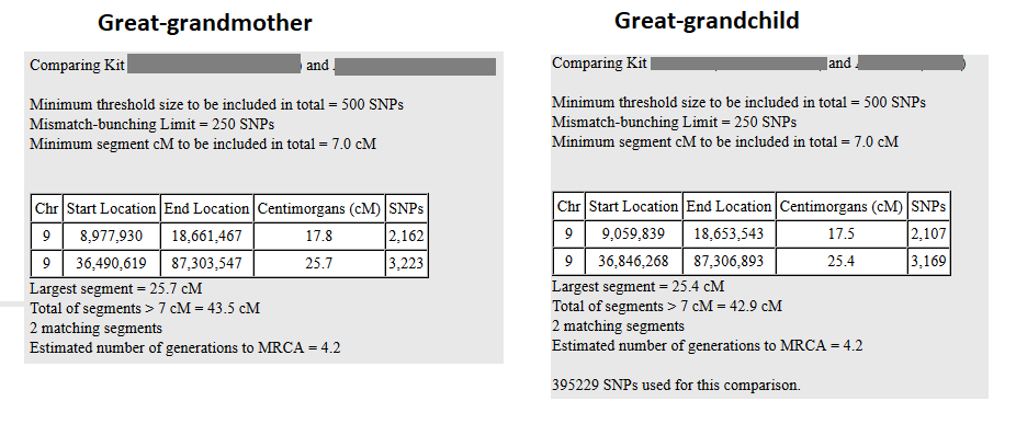 DNA segments staying same size over generations