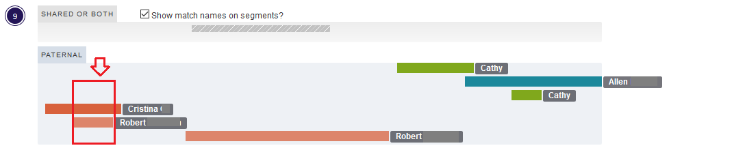 example of overlapping segment on dna painter