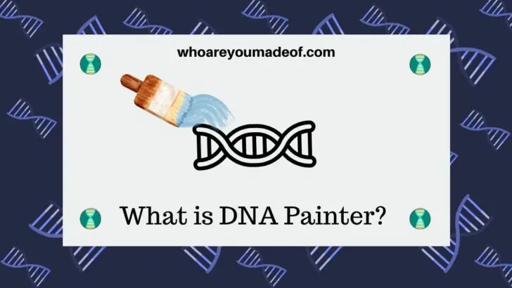 What is DNA Painter