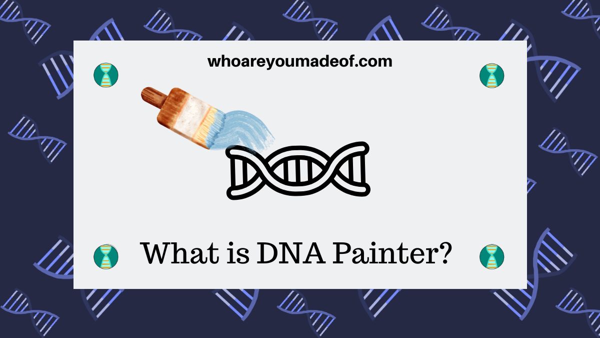 What is DNA Painter