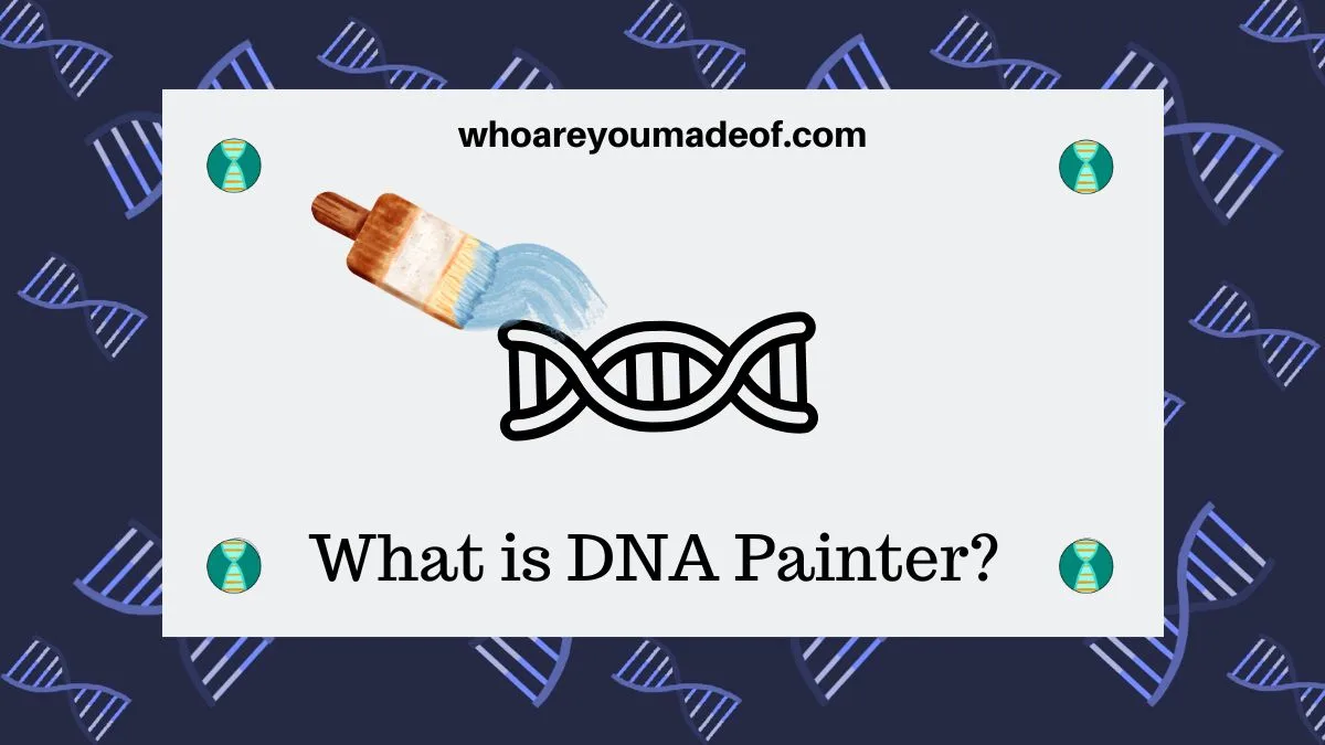 What is DNA Painter