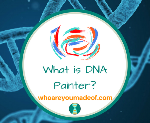 What is DNA Painter_