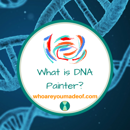 What is DNA Painter_