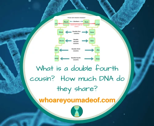 What is a double fourth cousin_ How much DNA do they share_