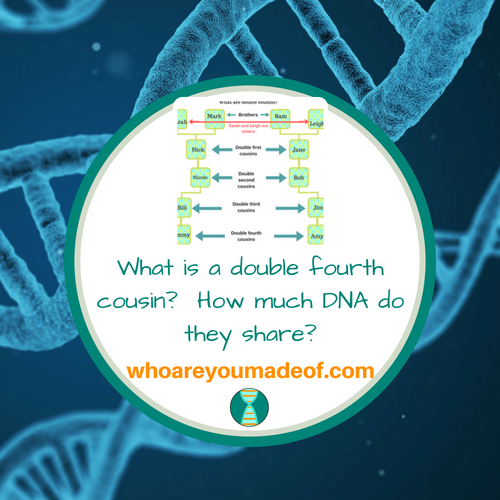 What is a double fourth cousin_ How much DNA do they share_