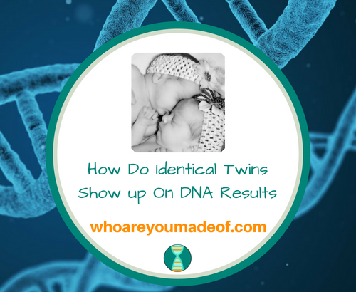 How Do Identical Twins Show up On DNA Results