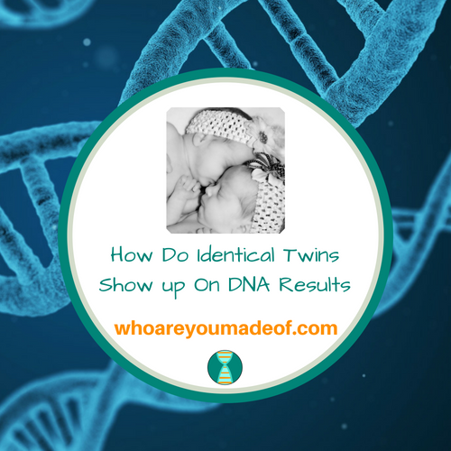 How Do Identical Twins Show up On DNA Results