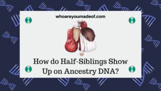 How do Half-Siblings Show Up on Ancestry DNA