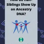 How do Half-Siblings Show Up on Ancestry DNA_