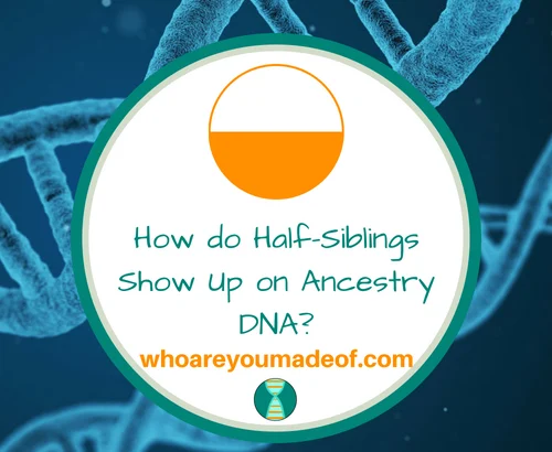 How do Half-Siblings Show Up on Ancestry DNA_