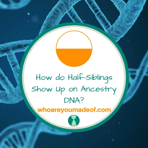 How do Half-Siblings Show Up on Ancestry DNA_