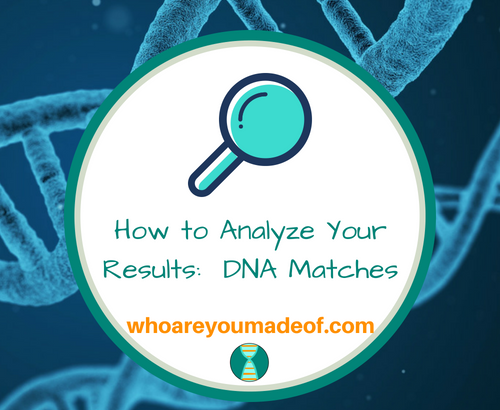 How to Analyze Your Results_ DNA Matches